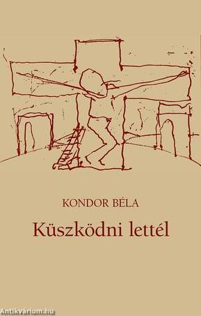 Küszködni lettél