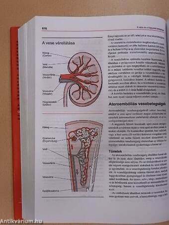 MSD Orvosi Kézikönyv a Családban