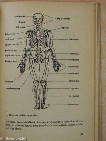 Biológia III.