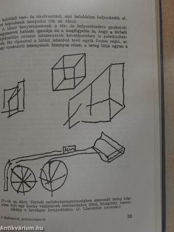 Kísérletező pszichológusok