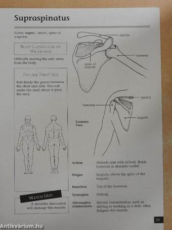 The Muscle Book