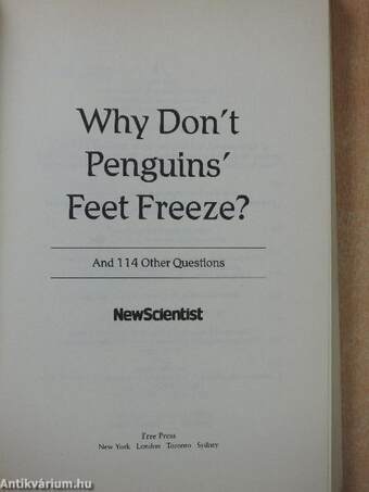 Why Don't Penguins' Feet Freeze?