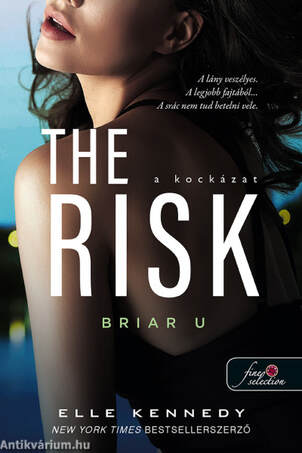 The Risk - A kockázat (Briar U 2.)