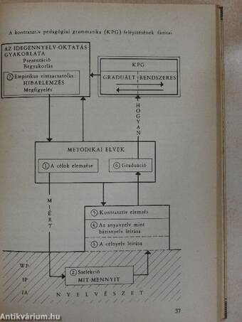 Grammatikai kontrasztivitás és hibaelemzés