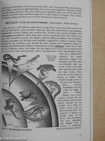 Biology - Biodiversity and Plant Life