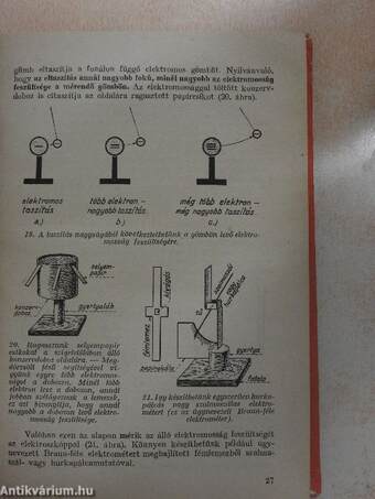 Elektromosságtan és az élet