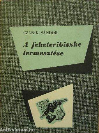 A feketeribiszke termesztése