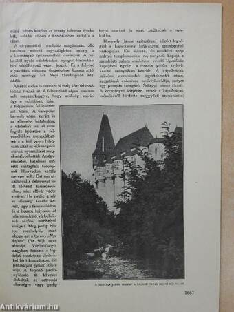 Magyar Uriasszonyok Lapja 1934. június 1.