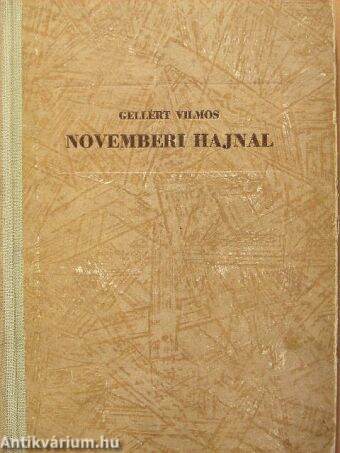 Novemberi hajnal