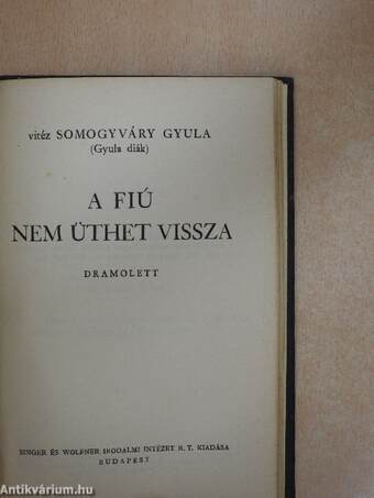 Virrasztó a ködben/A virágember/Utolsó szárnycsapás/A fiú nem üthet vissza