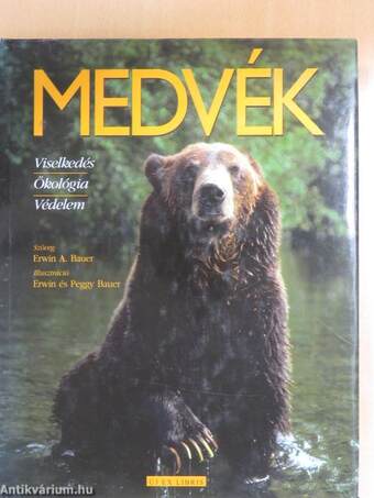 Medvék