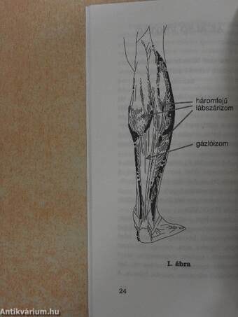 Hadüzenet a cellulitisnek