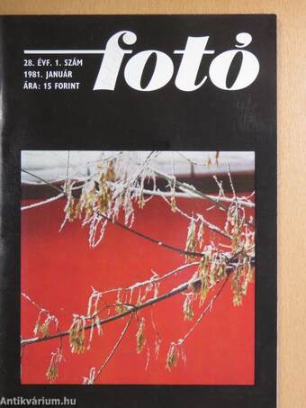 Fotó 1981. január-december