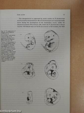 Embryonic and fetal development