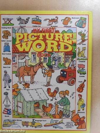 My First Picture Word Book