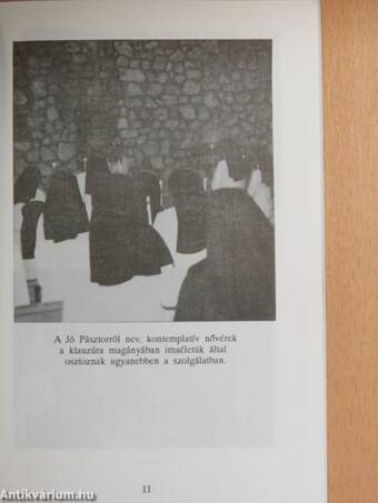 100 éves a Jó Pásztor szeretetéről nevezett Miasszonyunk nővérek kongregációjának magyar tartománya