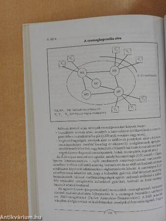 Közlekedéspolitika, vasútfejlesztés, informatika