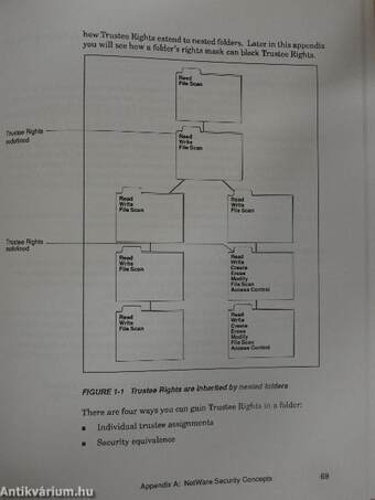 Novell NetWare for Macintosh Version 2.2 - Basic Operations