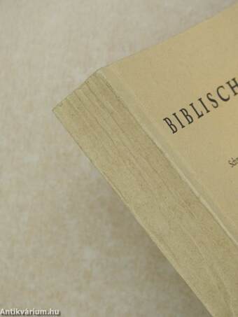 Die biblische Urgeschichte