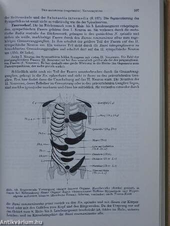 Anatomie des Menschen I.