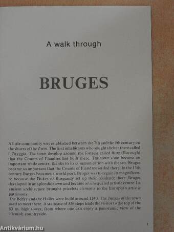 A walk through Bruges