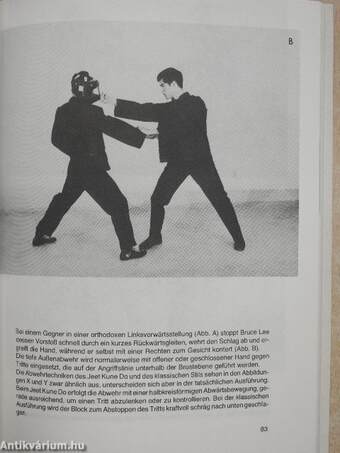 Bruce Lees Kampfstil 3.