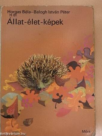 Állat-élet-képek