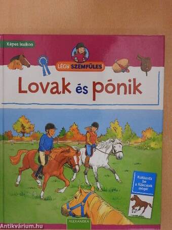 Lovak és pónik