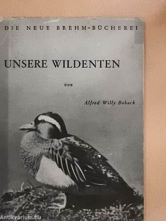 Unsere Wildenten