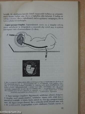 Az orvostudomány aktuális problémái 1970/3.