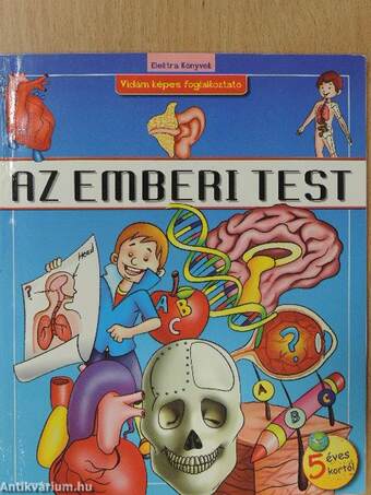 Az emberi test