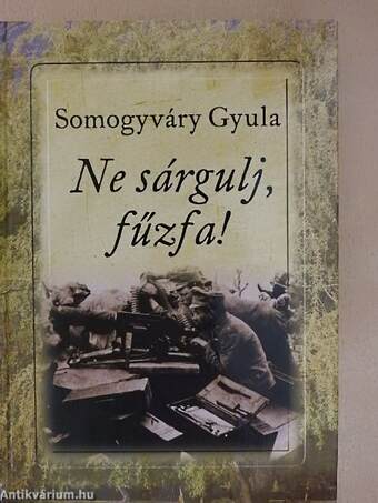 Ne sárgulj, fűzfa!