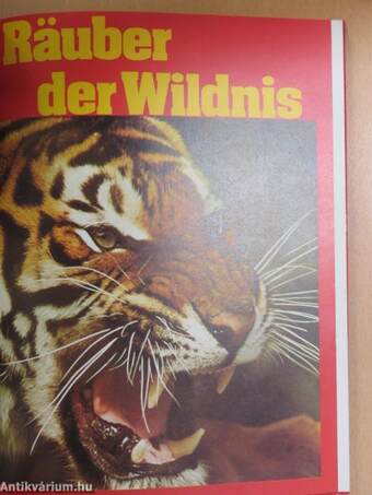 Räuber der Wildnis