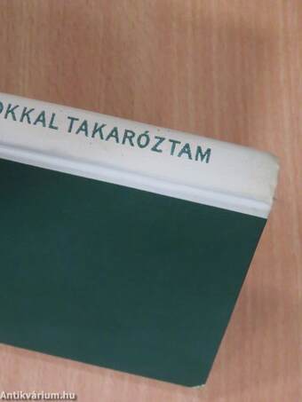 Csillagokkal takaróztam