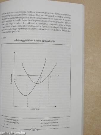 Közgazdaságtan a globalizáció világában I-II.