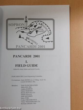 Pancardi 2001 I.