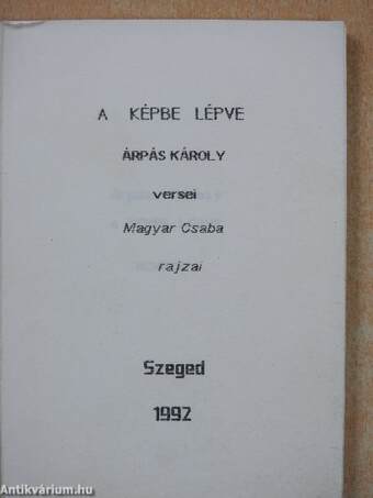 A képbe lépve