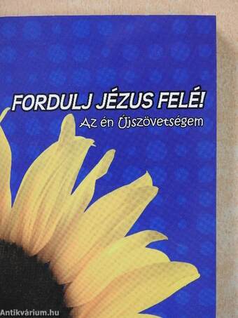 Fordulj Jézus felé!