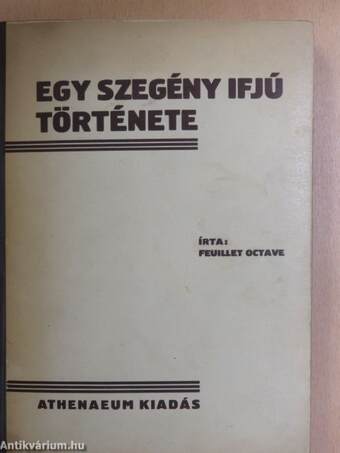 Egy szegény ifju története