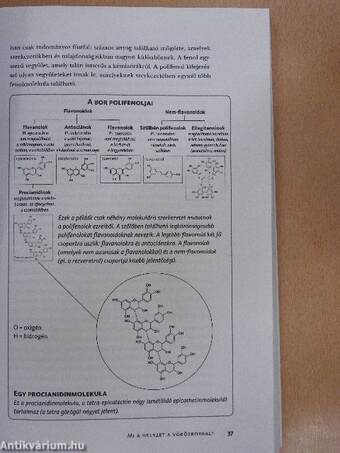 Bordiéta