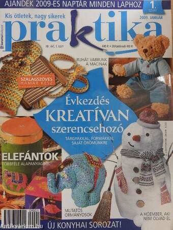 Praktika 2009. január