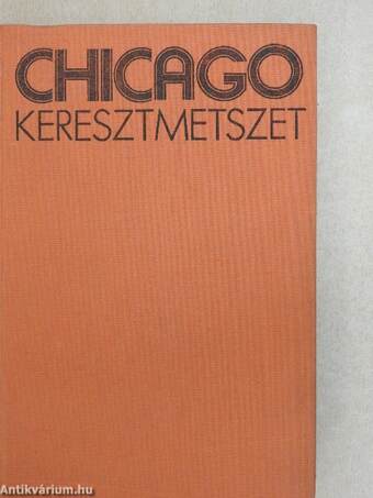 Chicago, keresztmetszet