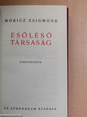 Esőleső társaság