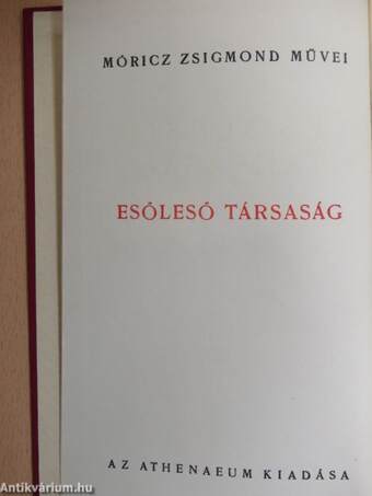 Esőleső társaság