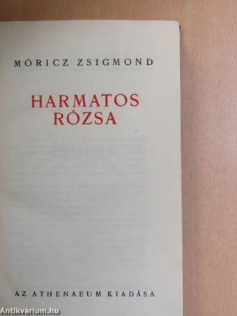 Harmatos Rózsa