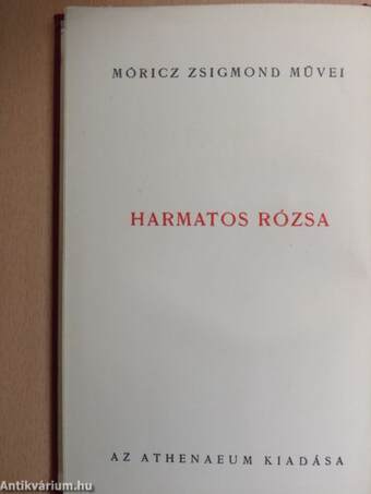 Harmatos Rózsa