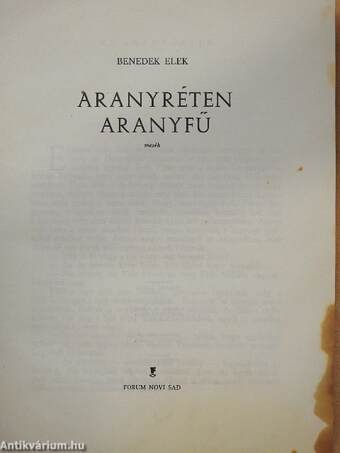 Aranyréten aranyfű