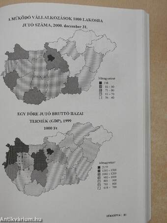 Bács-Kiskun megye statisztikai évkönyve 2000