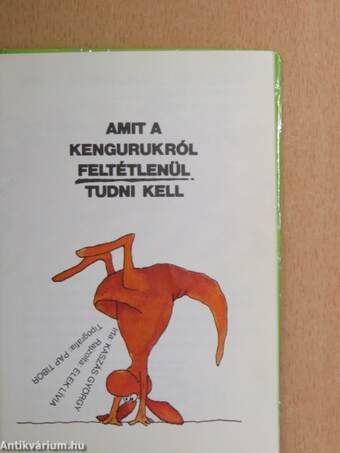 Amit a kengurukról feltétlenül tudni kell