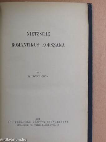 Nietzsche romantikus korszaka